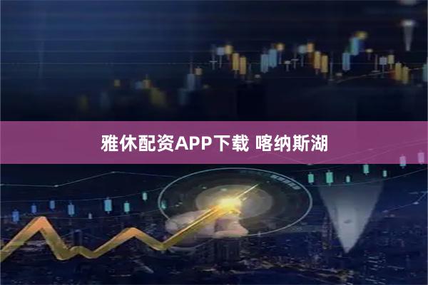 雅休配资APP下载 喀纳斯湖