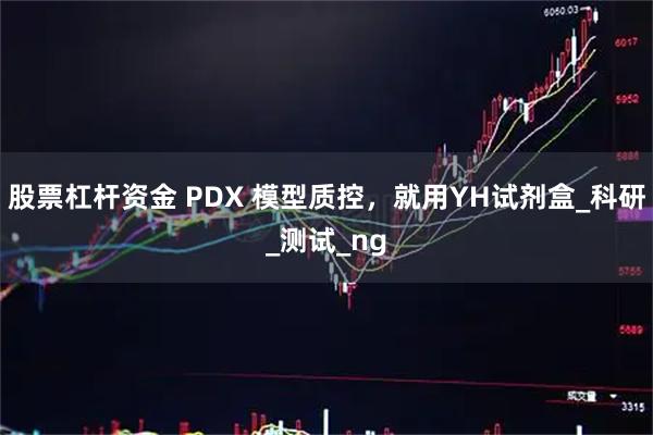 股票杠杆资金 PDX 模型质控，就用YH试剂盒_科研_测试_ng